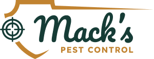 McCauley Services