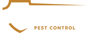 McCauley Services